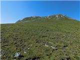 Zagelkogel
