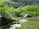 Izvir Tolminke