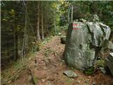 Parkirišče Hoyer (Neuhofgraben) - Lärchkogel (Glinska planina / Gleinalpe)