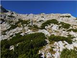 Planina Ravne - Veliki vrh (Veža)
