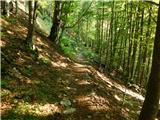 Drežnica - Koča na planini Kuhinja