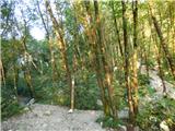 Hotel Boka - Planina Baban