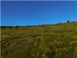 Mariensee (Biotop) - Hochwechsel
