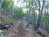 Korito / Coritis - Planina Kanin / Casera Canin