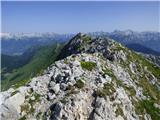 Planina Zapleč - Srednji vrh (at Krn)