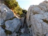Robanov kot - Veliki vrh (Veža)