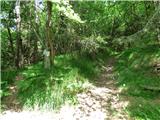 Jesenovo - Črni vrh (Čemšeniška planina)