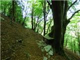 Planina Polog - Žlejžn