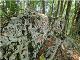 Okrugljak