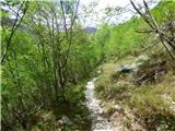 Planina Polog - Izvir Tolminke