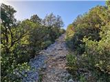 Ist - Straža (otok Ist)