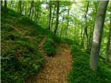 Gračnica - Sveti Lovrenc (nad vasjo Okroglice)