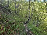 Odcep s ceste na Jelovo Rujo - Visočica