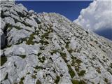 Bavšica - Mali Grintavec