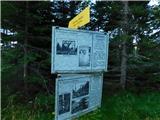 Alpl (Waldschulle Alpl) - Holta-Hütte (Rattner Alm)