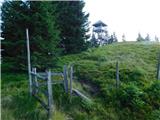 Kolarica - Veliki Travnik (Turnovka)