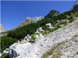 Bavšica - Zagorelec