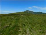 Oberfresen (Brendlwald) - Großer Speikkogel (Golica / Koralpe)