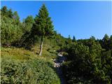 Rudnik v Topli - Kordeževa glava (Peca)