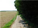 Moravske Toplice - Grad Murska Sobota