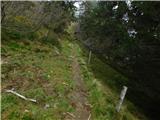 Parkirišče Hoyer (Neuhofgraben) - Lenzmoarkogel (Glinska planina / Gleinalpe)