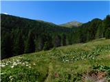 Sabathy-Hütte im Zirbenland - Zirbitzkogel