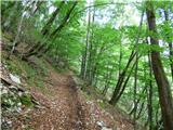 Kal-Koritnica - Lipnik (nad Lepeno)