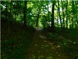Čatež ob Savi - Sveti Vid (Šentviška gora)