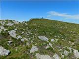 Oberfresen (Brendlwald) - Großer Frauenkogel