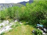 Planina Polog - Izvir Tolminke