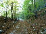 Kapelica sv. Ane - Planina Nizki vrh