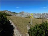 Aflenz Kurort (Bürgergraben) - Hochstein (pri Mitteralm)