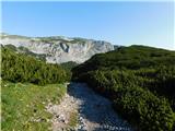 Raxalm-Berggasthof (Rax) - Neue Seehütte (Rax)