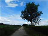 Tišina - Evangeličanska cerkev (Bodonci)
