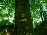 Žejno (Foto Ivanšek) - Sveti Vid (Šentviška gora)