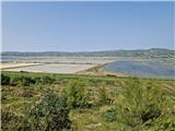 Crveni Vrh - Markovac