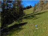 Bürgeralm (Panoramastraße) - Schönleitenhaus (Windgrube)