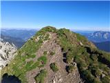 Steep nose.