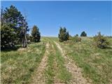 Škalnica - Pliševica
