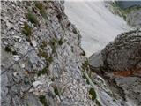 Zadnja Trenta (Flori) - Bavški Grintavec
