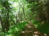 Jesenovo - Črni vrh (Čemšeniška planina)