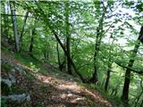 Planina Polog - Žlejžn