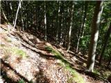 Tam na Meji (Beli potok) - Planina Nizki vrh