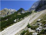Bavšica - Zagorelec