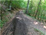 Zgornje Poljčane - Ljubična gora