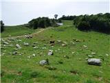 Planina Zapleč