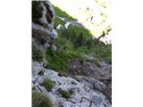 Pogled nazaj