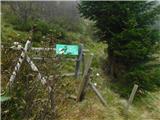 Parkirišče Hoyer (Neuhofgraben) - Lärchkogel (Glinska planina / Gleinalpe)