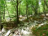 Planina Polog - Izvir Tolminke
