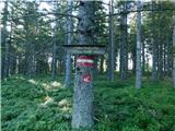 Alpl (Waldschulle Alpl) - Holta-Hütte (Rattner Alm)